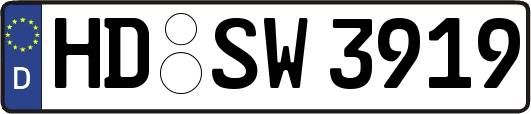 HD-SW3919