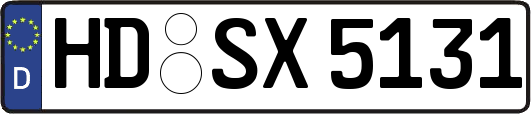 HD-SX5131