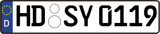 HD-SY0119