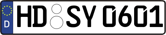 HD-SY0601