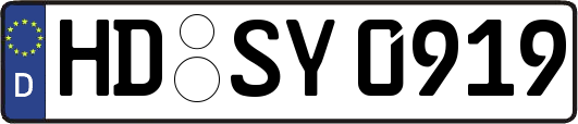 HD-SY0919