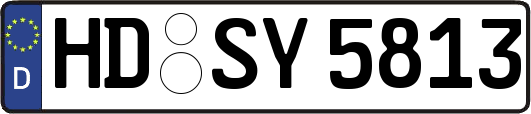 HD-SY5813