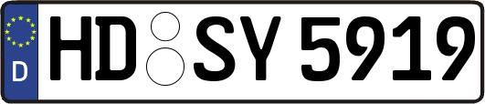 HD-SY5919