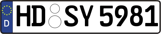 HD-SY5981