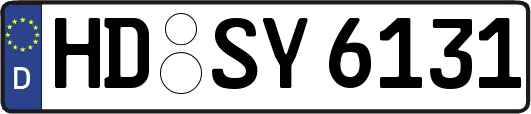 HD-SY6131