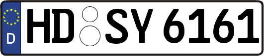 HD-SY6161