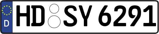 HD-SY6291