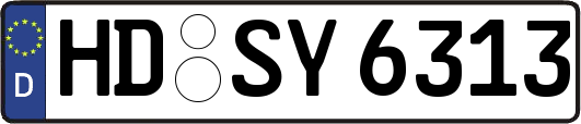 HD-SY6313
