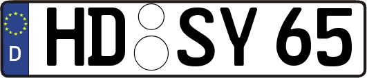 HD-SY65