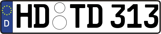 HD-TD313