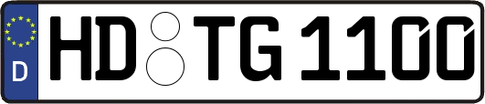 HD-TG1100
