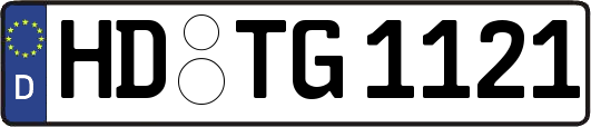 HD-TG1121