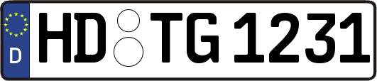 HD-TG1231