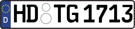 HD-TG1713