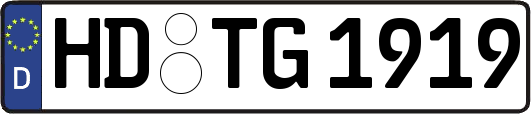 HD-TG1919