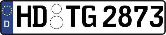 HD-TG2873