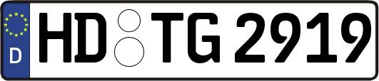 HD-TG2919
