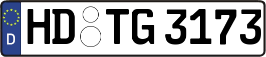 HD-TG3173