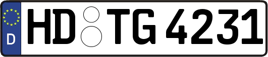HD-TG4231