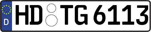 HD-TG6113