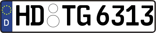 HD-TG6313