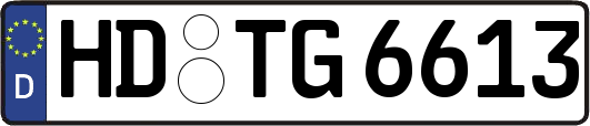 HD-TG6613