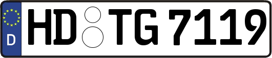 HD-TG7119