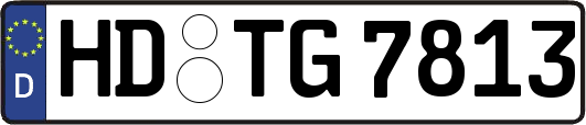 HD-TG7813