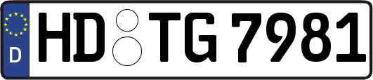 HD-TG7981