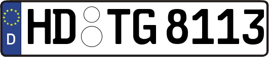 HD-TG8113