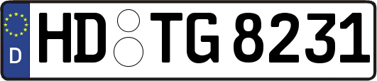 HD-TG8231