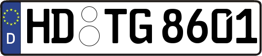 HD-TG8601