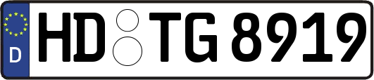 HD-TG8919