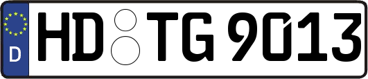 HD-TG9013