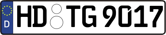 HD-TG9017
