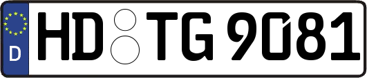 HD-TG9081