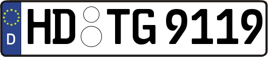 HD-TG9119