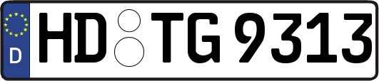 HD-TG9313