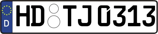 HD-TJ0313