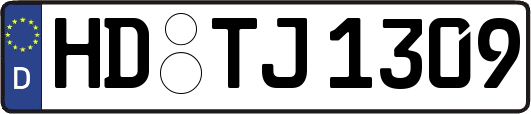 HD-TJ1309