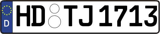 HD-TJ1713