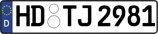 HD-TJ2981