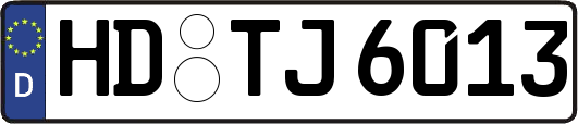 HD-TJ6013