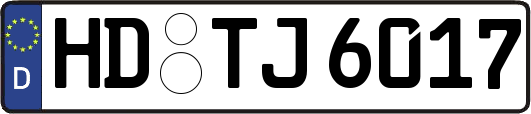 HD-TJ6017