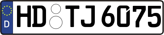 HD-TJ6075