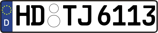 HD-TJ6113