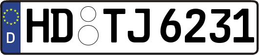 HD-TJ6231