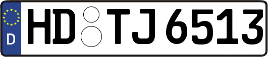 HD-TJ6513