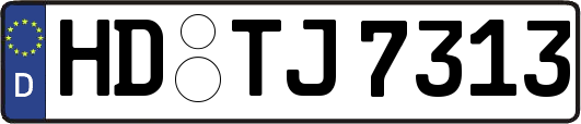 HD-TJ7313