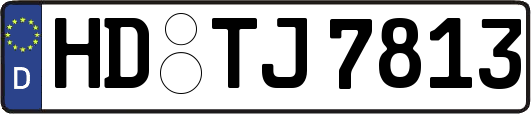 HD-TJ7813